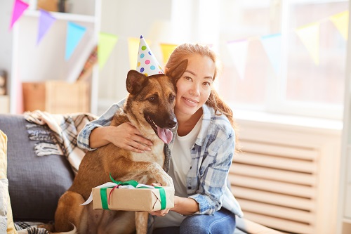 Voici quelques idées pour fêter l’anniversaire de votre animal